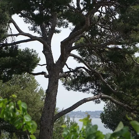 Alouettes Apartment Hyeres